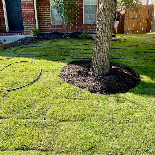 S&N Landscaping (55)